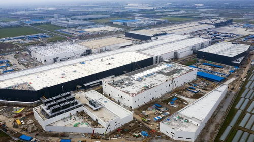 實探上海特斯拉工廠 Model Y兩個月后或投產，海維森生物附近迎來求職熱潮